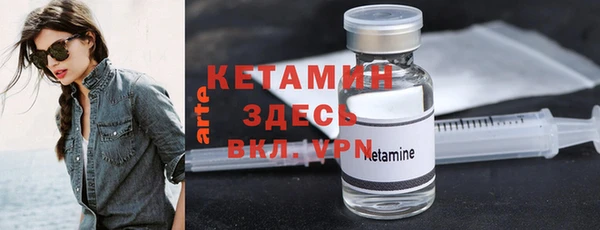 сатива Вяземский