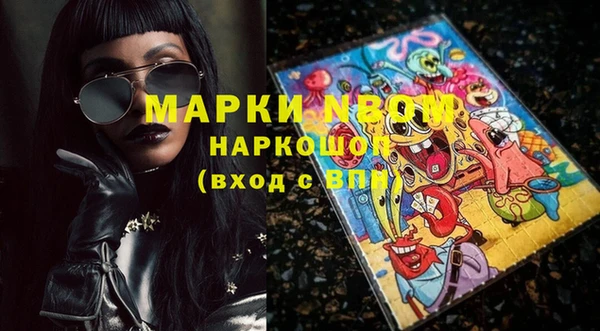 сатива Вяземский