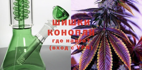 сатива Вяземский