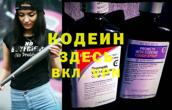 сатива Вяземский