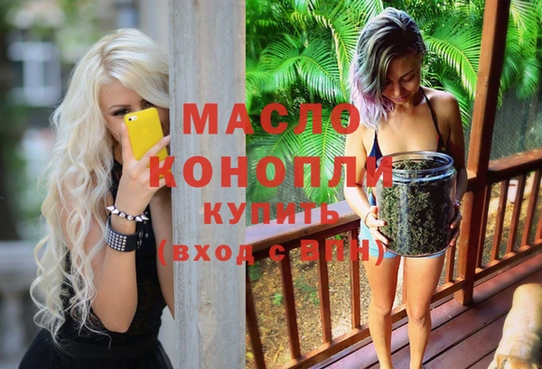 сатива Вяземский