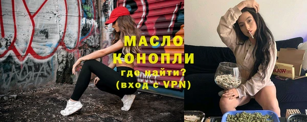 сатива Вяземский