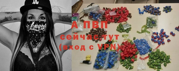 сатива Вяземский