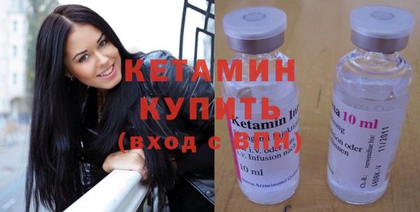 сатива Вяземский